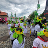 chmelfh039_25.jpg