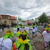chmelfh040_25.jpg