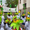 chmelfh045_25.jpg