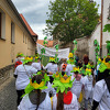 chmelfh046_25.jpg