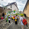 chmelfh050_25.jpg