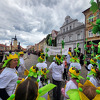 chmelfh066_25.jpg