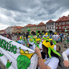 chmelfh069_25.jpg