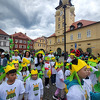 chmelfh072_25.jpg