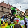 chmelfh078_25.jpg