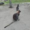 zoo25_003.jpg